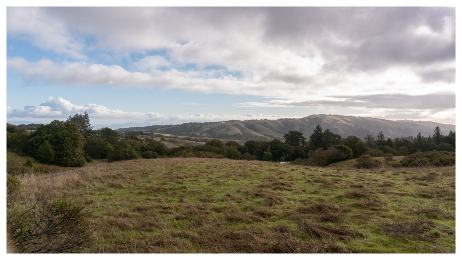 Russian Ridge Loop in Midpeninsula Open Space | Modern Hiker